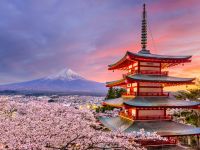 8. Japan