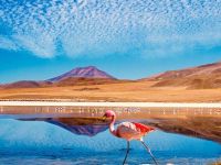 Atacama Desert, Chile