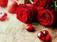 شعر عن عيد الحب