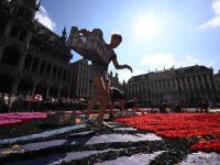 The flower carpet is free to view until Sunday, August 18, at 10 PM (last entry at 9:30 PM). A light and audio show runs every 30 minutes in the evening (9-11 PM). Visitors can buy tickets to see it from the City Hall balcony, though tower tickets are sold out. Balcony tickets are still available on the site.