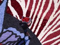 The stunning flower carpet is crafted by 100 volunteers from Belgium, Spain, and the U.S. Arriving by bus at 07:00, most hail from Loenhout, linked to the Loenhout Bloemencorso, which supplied the flowers.
