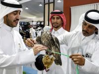 Dr. Zubair, who has flown nearly a hundred times worldwide for falcon research, mentioned that observing these birds often requires air travel. His research has taken him across the globe, including visits to the US, Europe, Australia, and various Middle Eastern countries. He is recognized as the first and only Indian to earn a doctorate in falcon studies and has recorded 15 different vocalizations of various falcon species.(photo by afp)