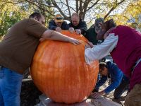 Despite falling short of the world record he set last year with a 2,749-pound (1,247-kilogram) gourd, Gienger, 44, expressed pride in his victory, remarking on the challenging weather conditions. A cold fall with record-breaking rain made it difficult to achieve optimal growth, but his focus on healthy soil and well-fed plants paid off in the end.(photo by afp).