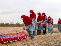 Women are gradually being erased from public spaces: Taliban authorities have banned post-secondary education for girls and women, restricted employment and blocked access to parks and other public areas. (Photo by AFP)
