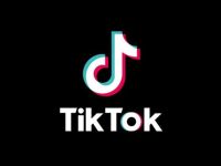 Trump vows to delay TikTok ban, proposes U.S. ownership stake