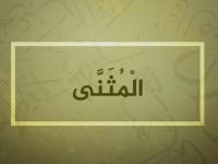 معنى اسم المثنى وصفاته