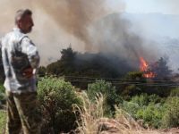 forest fire