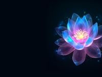 plants that glow in the dark