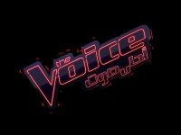  The Voice
