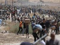 مساعدات غزة