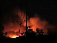 Shells land near Syria’s Mezzeh Airport amid Liberation Day celebrations