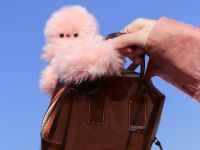 "ميرومي" بديل "لابوبو"… الروبوت العاطفي الذي يسيطر على موضة 2026