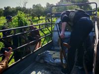 وزارة الداخلية السورية