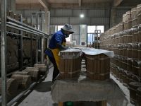 3 killed, 25 injured in fireworks factory explosion in central China
