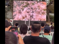 Video of Israeli soldiers celebrating destruction in Lebanon sparks backlash online