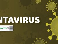 hantavirus 