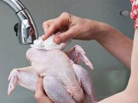 تفسير حلم الدجاج النيء في المنام لابن سيرين