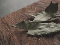 رؤية ورق الغار في المنام ومعنى شراءه وحرقه