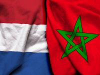 معلق مباراة هولندا والمغرب في كأس العالم 2026