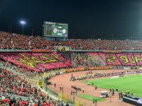 جماهير الأهلي المصري (حساب النادي عبر إكس)