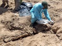 A member of the Iraqi security forces wearing protective clothes inspects a mass grave containing the remains of dozens of people killed by ISIS. (Ahmad AL-RUBAYE / AFP)
