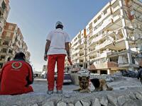 An Iranian civil defence K-9 unit wait near damaged buildings during a search for survivors in the town of Sarpol-e Zahab.

(ATTA KENARE / AFP)