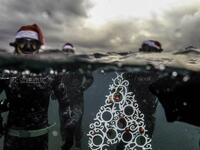 Freedivers pose with an ornamental Christas tree near the surface before diving to place it on the sea-floor off the coast of the northern Lebanese port city of Tripoli on December 18, 2018. 
IBRAHIM CHALHOUB / AFP