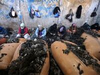 Afghan women separate fur from goats hair at a soft wool factory in Herat, Afghanistan (Twitter)