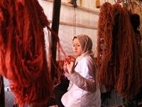 Afghan girls learn the skills to weave rugs at a small factory in the Enjil district of Herat Province (Rezayee/Twitter)