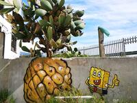 (Facebook/ Falko One)