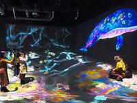 Visitors taking snapshots at the ‘teamLab: Dance Art Exhibition, Learn And Play Future Park’ held in Hangzhou in China’s eastern Zhejiang province late last year. (AFP/ File)