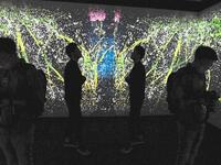 Visitors are silhouetted against a large-scale interactive digital installation by Japan-based teamLab titled 'Walk, Walk, Walk: Search Deviate, Reunite' at the Light To Night festival in Singapore last month. (AFP)