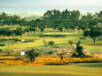 Elea Golf Club is a Sir Nick Faldo-designed course, located near the ancient town of Paphos by the shimmering Mediterranean Sea. The course offers a challenging layout through rolling countryside, where golfers can enjoy playing with sights of olive trees and an abundance of native flora and wild herbs.