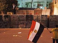 A protester stands on top of the Presidential Palace defensive walls as an other holds a national flag (AFP)