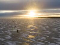 An aerial view shows men waiting near holes drilled into the frozen sea as they ice fish on the Gulf of Bothnia, near Vaasa, Western Finland on December 28, 2018, where winter daylight last for some four hours. 
Olivier MORIN / AFP
