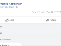اعتبر بعضهم أن الظاهرة لا تمثل شعبيته الحقيقية، ولكن مجرد نفاق أجهزة الدولة الداعمة