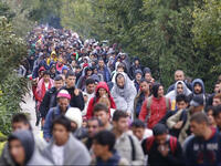 flow of syrian refugees