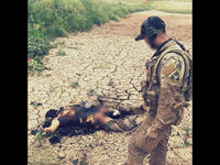 Dead Daesh fighter in Iraq