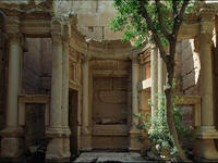 Palmyra