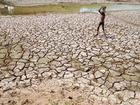 Syria drought 