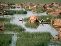 Iraqi southern salt marshes