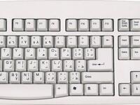 Arabic handwriting loves lefties, but most computer keyboards pose a southpaw problem, since number pads, arrow and return keys are on the right hand side. The QWERTY keyboard gives lefties a lift - studies show that 56% of touch-typing keystrokes are made with the left hand.