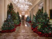 Christmas decorations are seen at the White House during a preview of the 2018 holiday decor in Washington, DC, on November 26, 2018. 
NICHOLAS KAMM / AFP