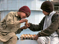 egg fight afghanistan eid