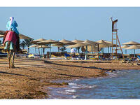 Tourism is drying up in Egypt