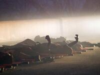 Burnt bodies lie on the ground after a bus was trapped in a huge forest fire that raged out of control near Israel northern city of Haifa