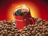 'Rats and drug addicts':  How to explain the people chaos? Nescafe-fueled hippies and
foreign agents of course, as he claims in a speech that protesters are powered by milky 'Nescafe' spiked with hallucinogenic
drugs. (Who isn't addicted to Nescafe- they don't call it  Nesca-crack for nothing!)
