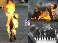 محمد بو عزيزي مفجر الثورة التونسية