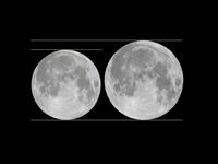 Fourteen percent bigger looks like this. In this illustration, the Galileo spacecraft shows the approximate difference in apparent size between a full moon at perigee.