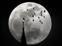 A supermoon appears behind the Minaret of Mohamed Ali Mosque in Islamic Cairo, Egypt.